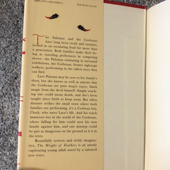 🌸 The Weight of Feathers Book - Picture 2 of 3